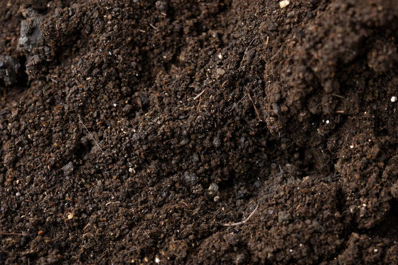 Extreme macro of dark composted cow manure soil — fine, fertile, crumbly texture