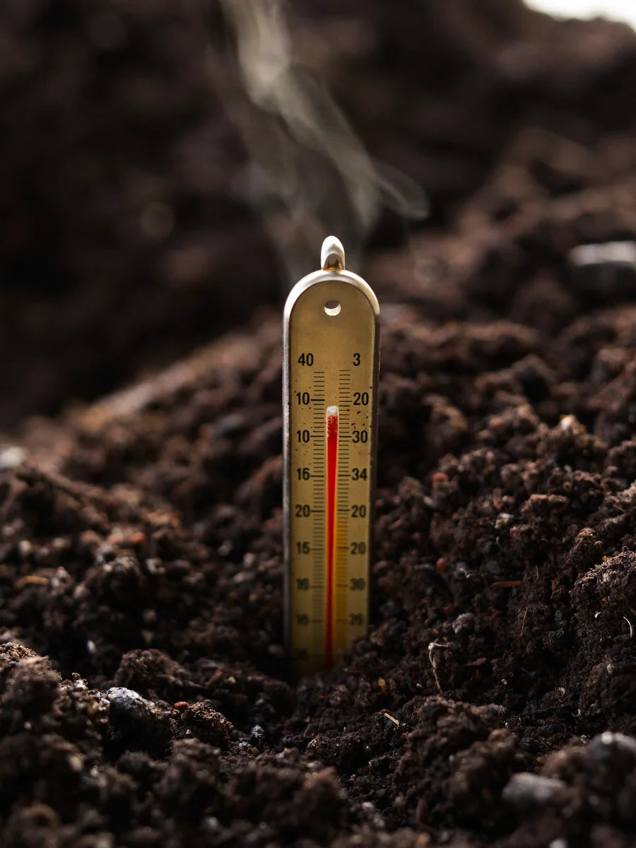 Compost thermometer probe inserted into a steaming pile