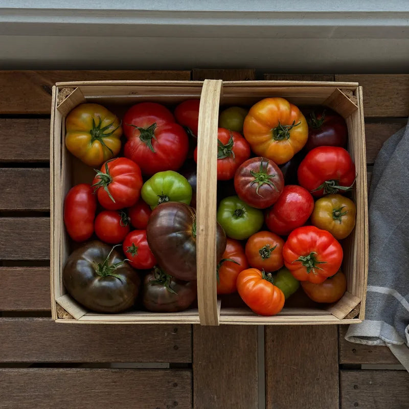 Harvest basket of garden flowers and vegetables from a flower bed