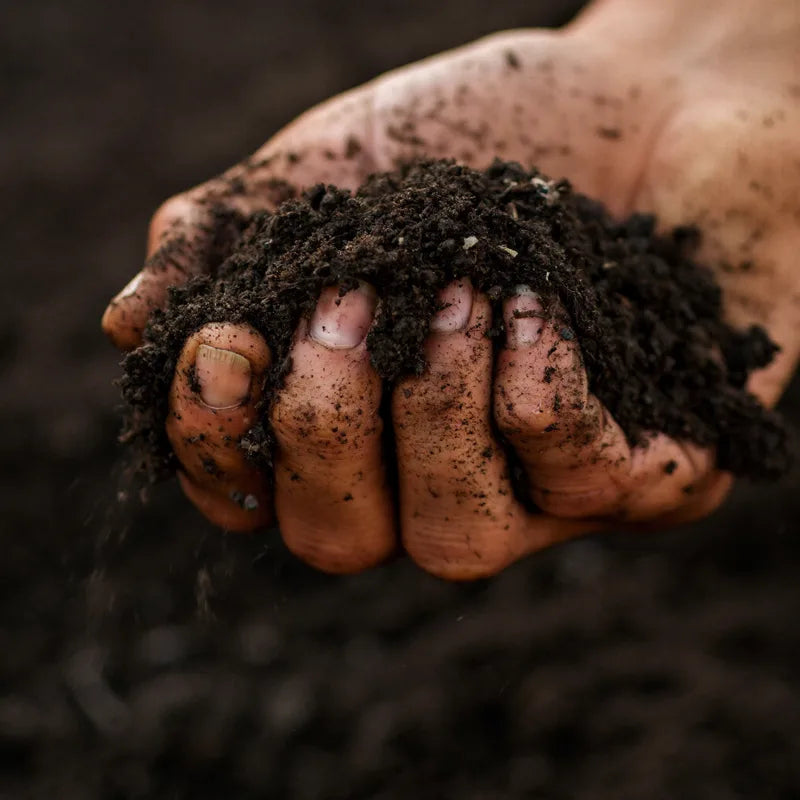 Hands squeezing dark composted soil to test moisture and texture